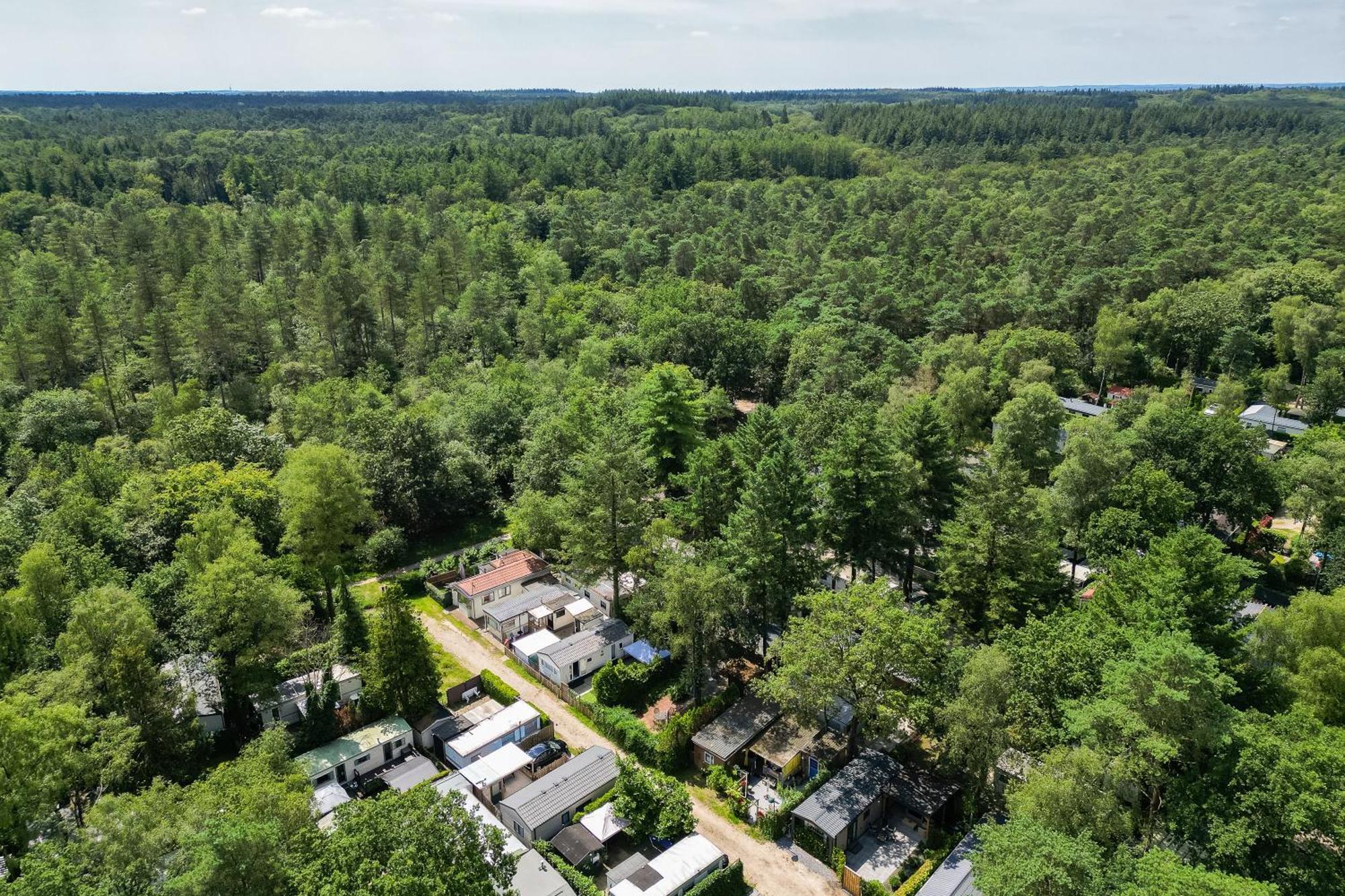 Veluwe Hoenderloo Luxury Chalet With Private Sauna And Hot Tub - Swimming Pool Tennis Court Supermarket Bowling Alley Theatre And Entertainment For Children Экстерьер фото